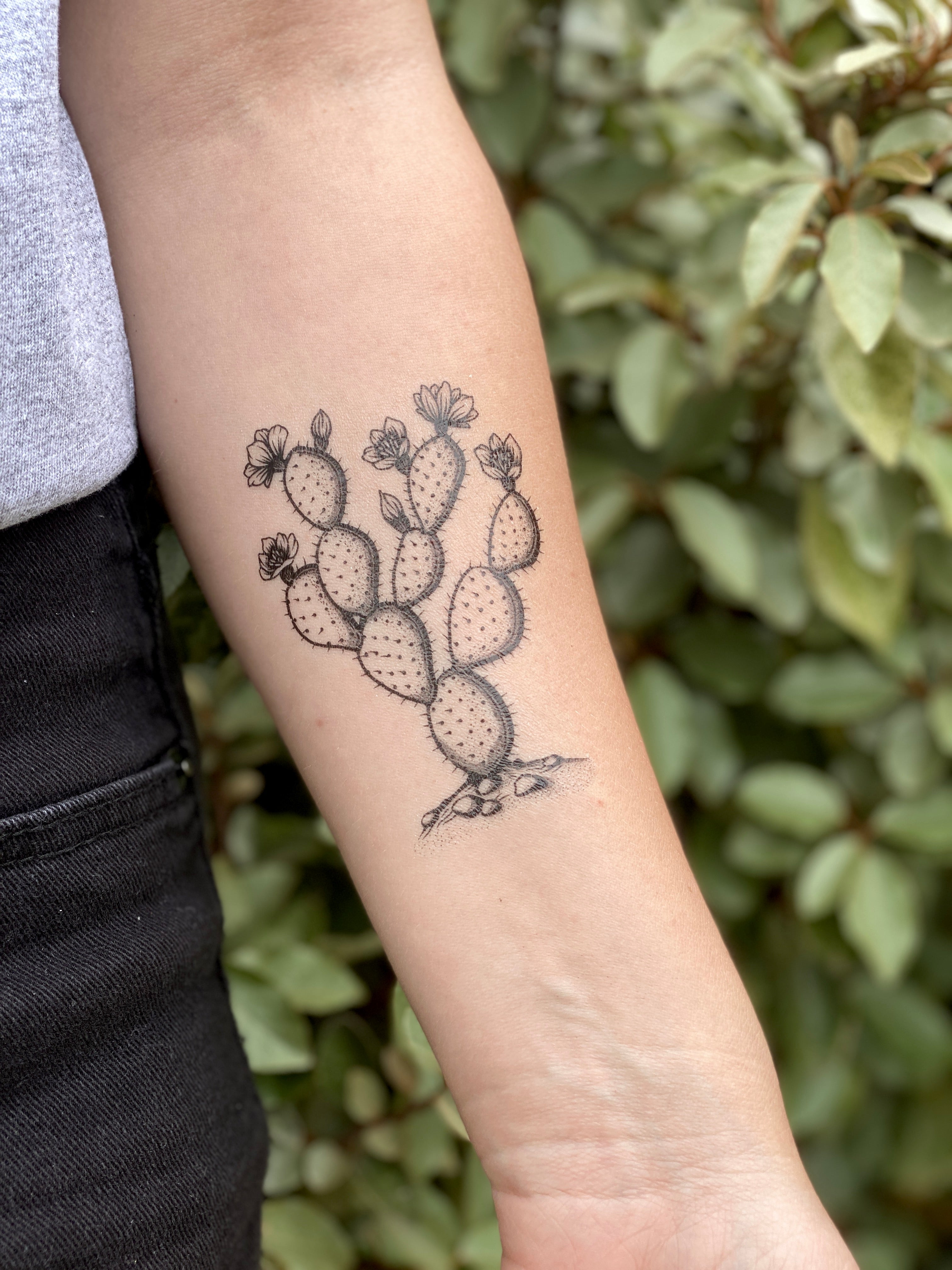 small cactus tattoo Prickly Pear Temporary Tattoo – Desert Botanical – NatureTats