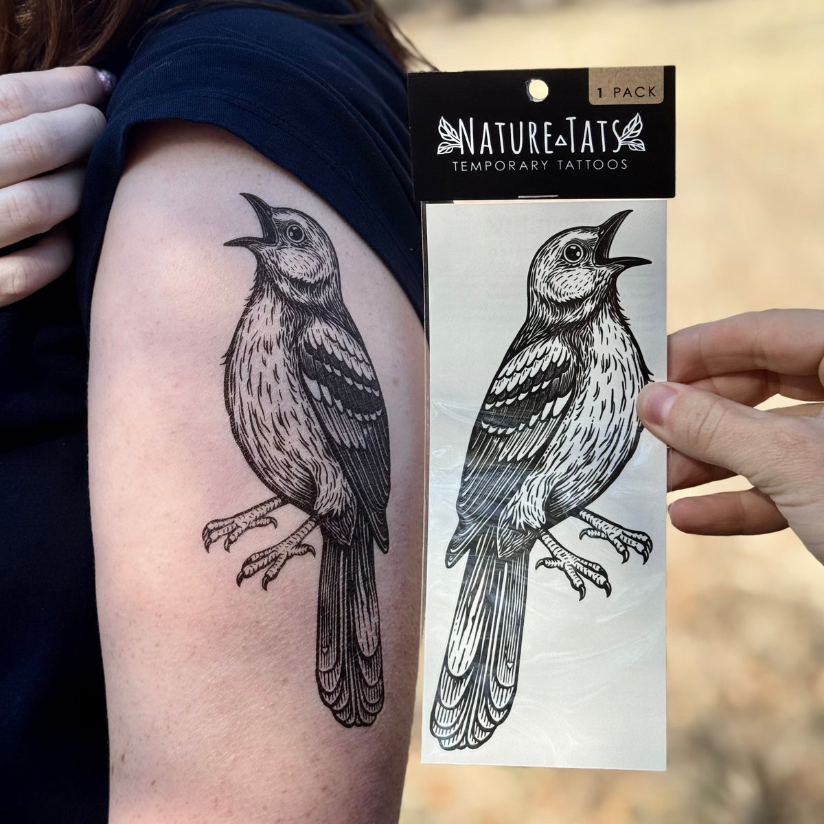 The Mockingbird Story: Nature's Echo
