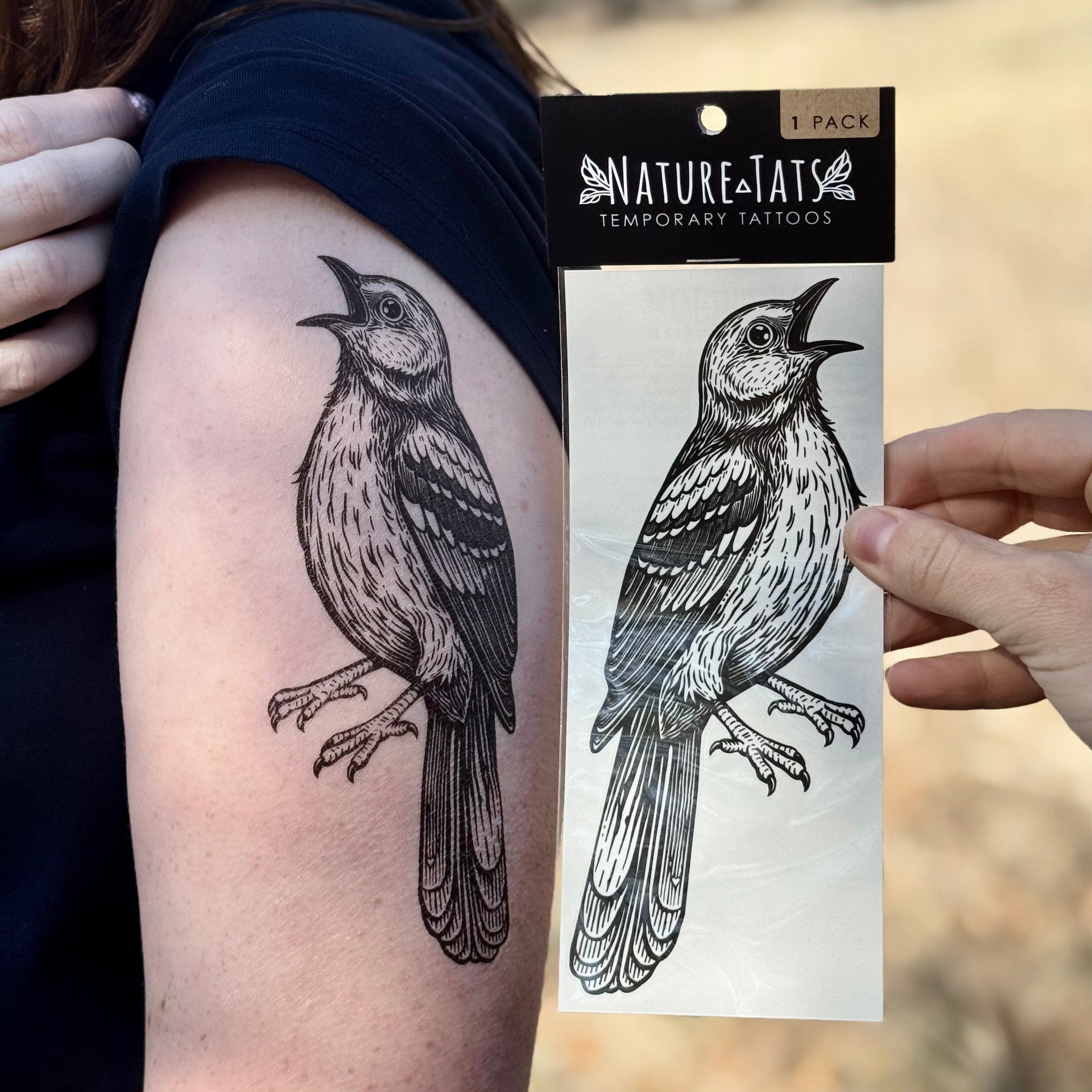 The Mockingbird Story: Nature's Echo