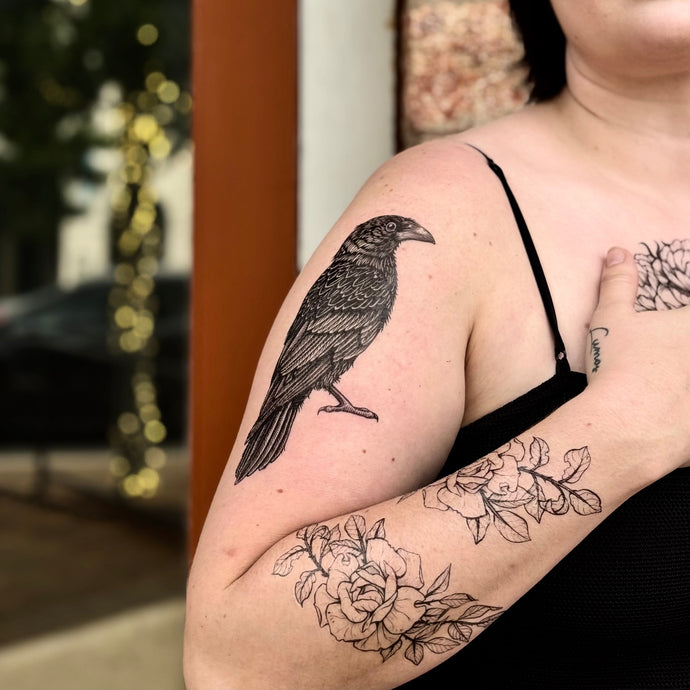 The Raven as a Messenger