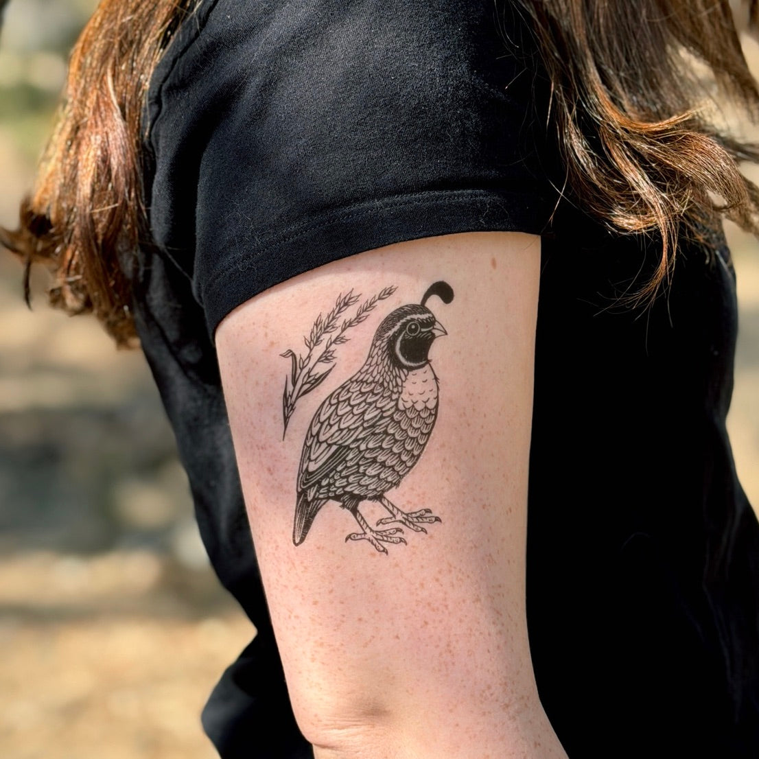 The Quail Story: Desert Survivors Built on Community
