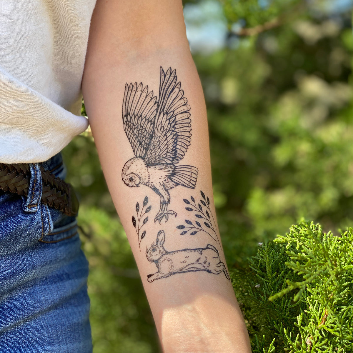 Owl and Rabbit: A Tale of Nature’s Balance – NatureTats