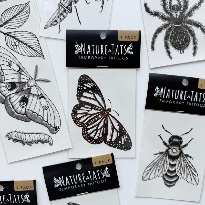 INSECTS + SPIDERS