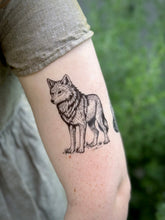 Wolf Temporary Tattoo