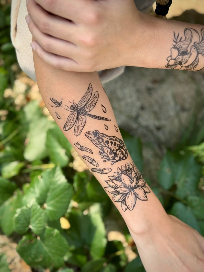 temporary Tattoos of a frog, dragonfly, and lotus flower on a person's arm with a natural background.