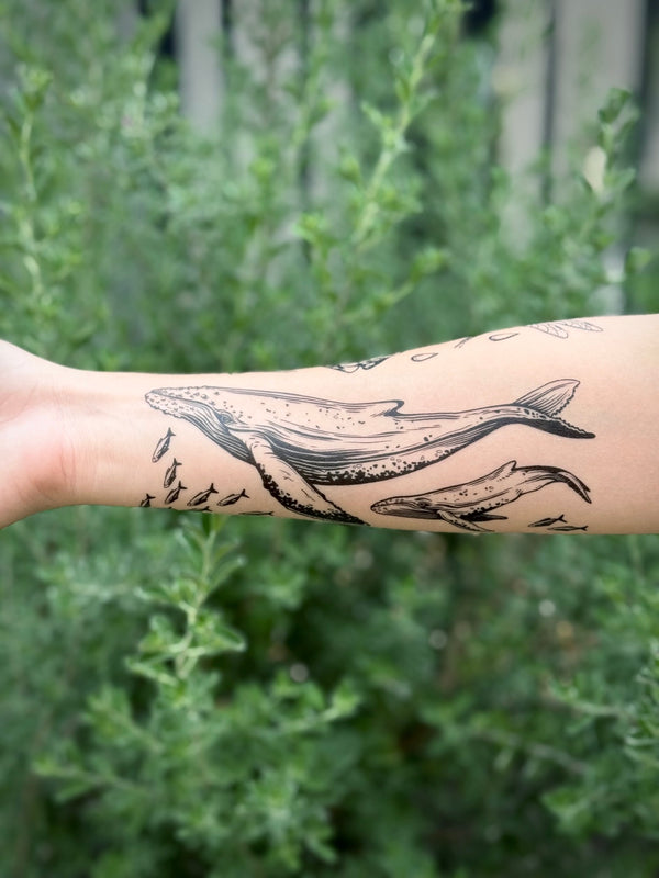  temporary Tattoo of a whale on a person's arm with a blurred green outdoor background