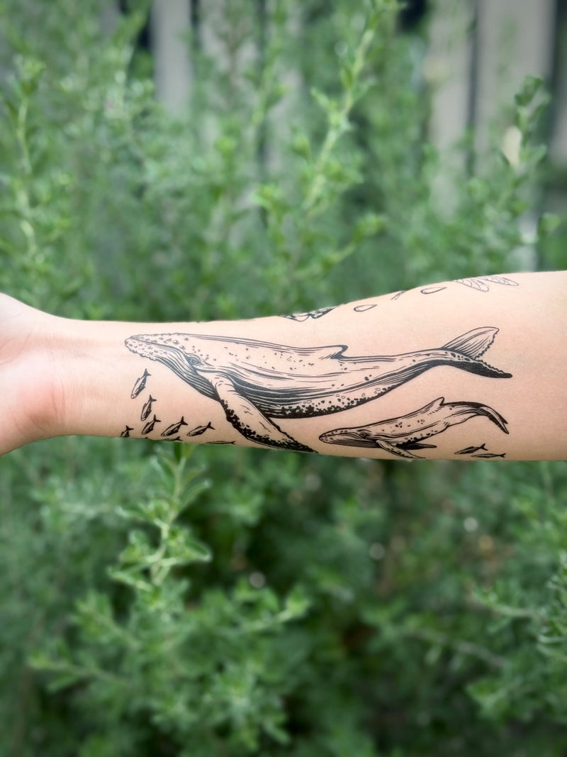  temporary Tattoo of a whale on a person's arm with a blurred green outdoor background