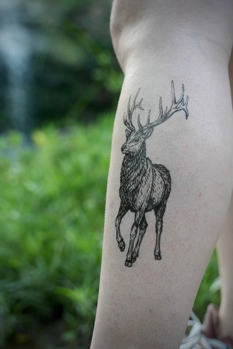 Elk Temporary Tattoo