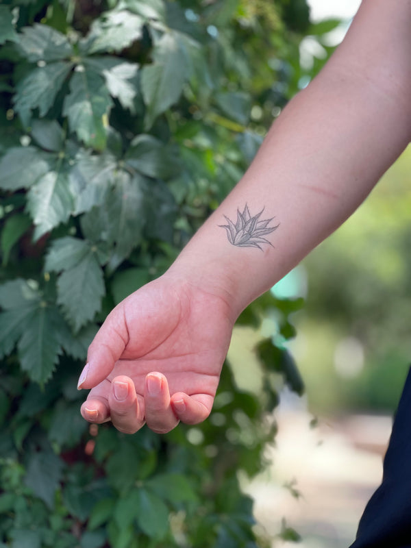 cactus on wrist temporary tattoo with a green background 