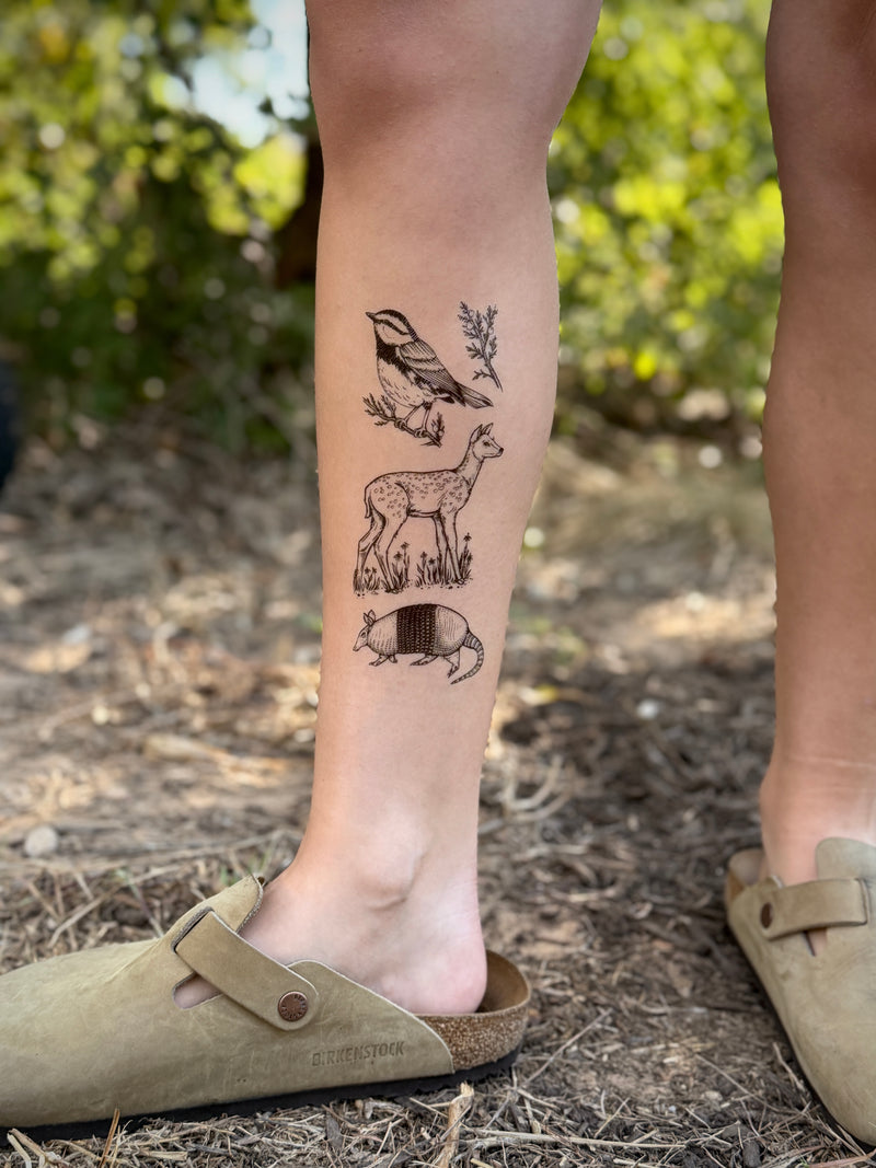 Hill Country Wildlife Temporary Tattoo