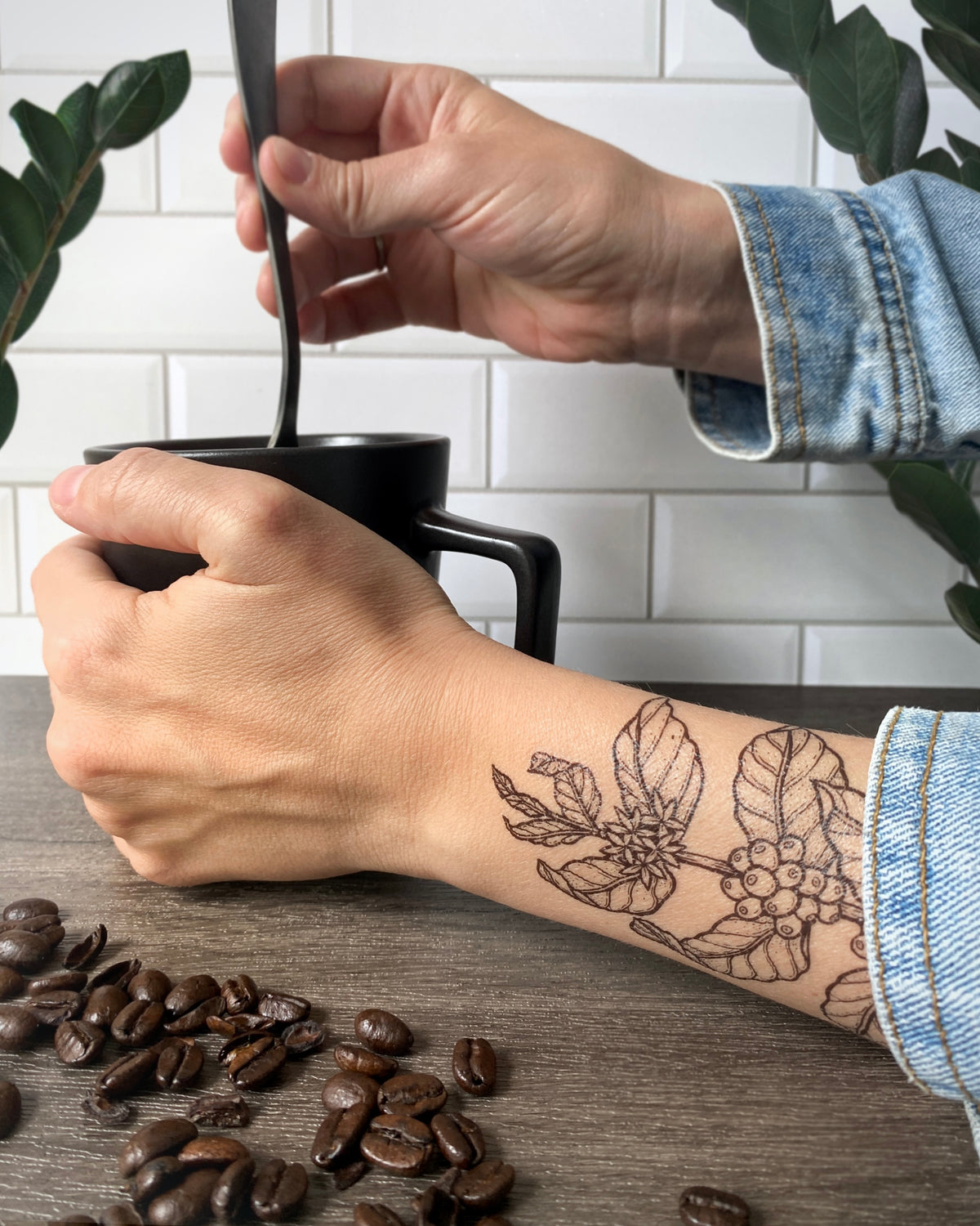 Coffee Plant Temporary Tattoo  Botanical Design  NatureTats