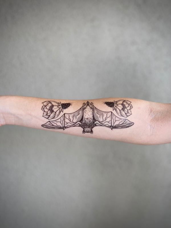 free -tailed bat on persons arm with a grey background