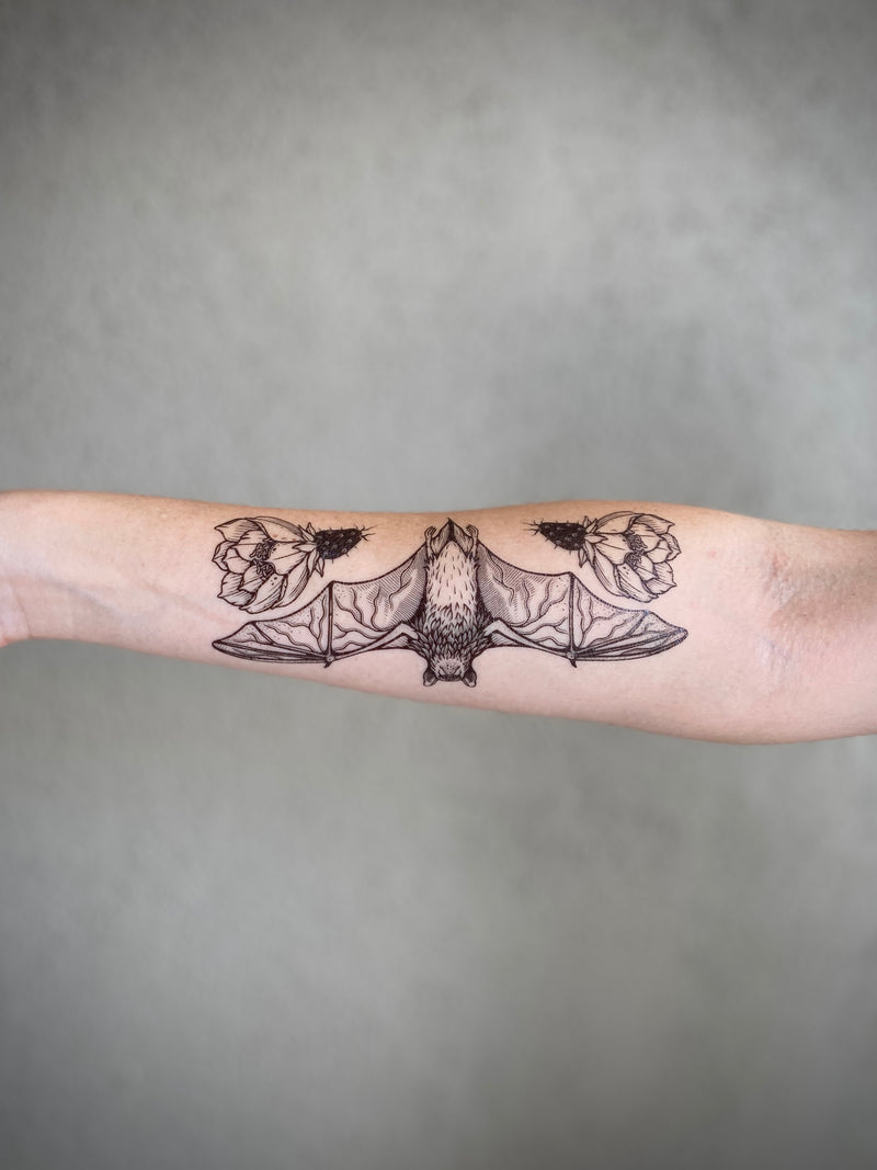 free -tailed bat on persons arm with a grey background