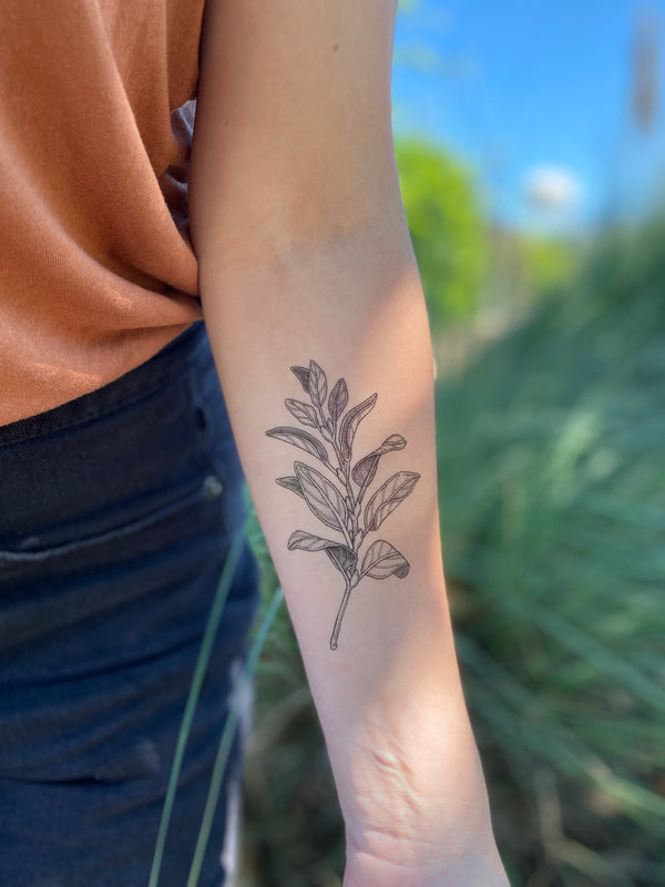 A person's forearm with a temporary tattoo of a sage sprig.