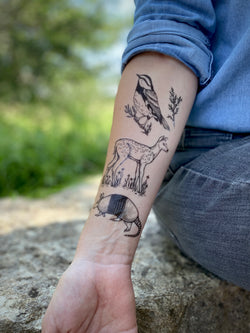 Hill Country Wildlife Temporary Tattoo