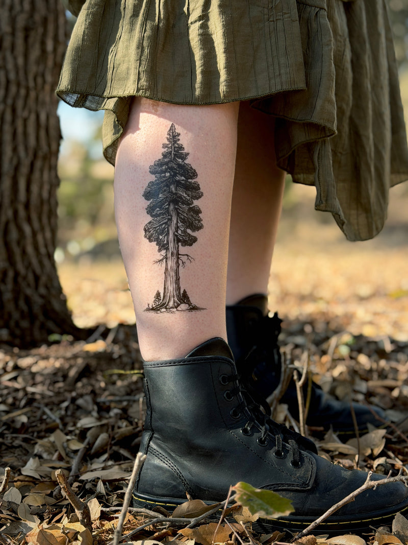 Redwood Temporary Tattoo