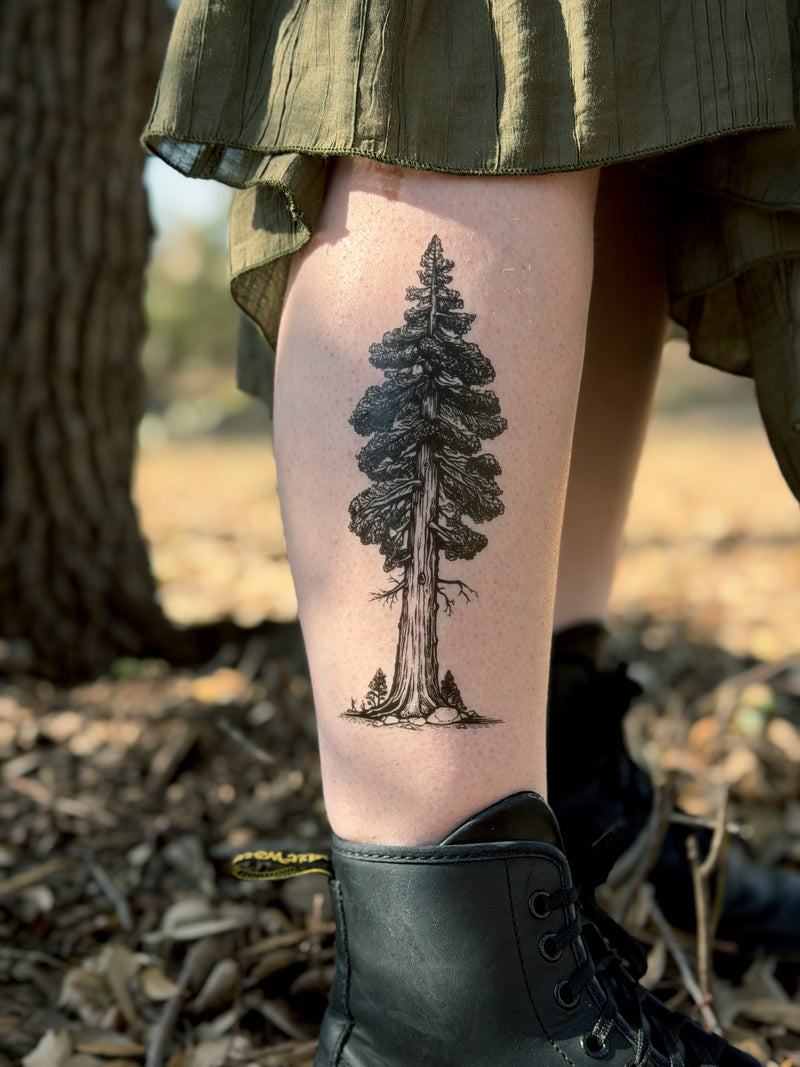 Redwood Temporary Tattoo