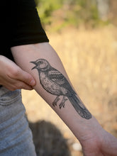 Mockingbird Temporary Tattoo