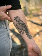 Mockingbird Temporary Tattoo