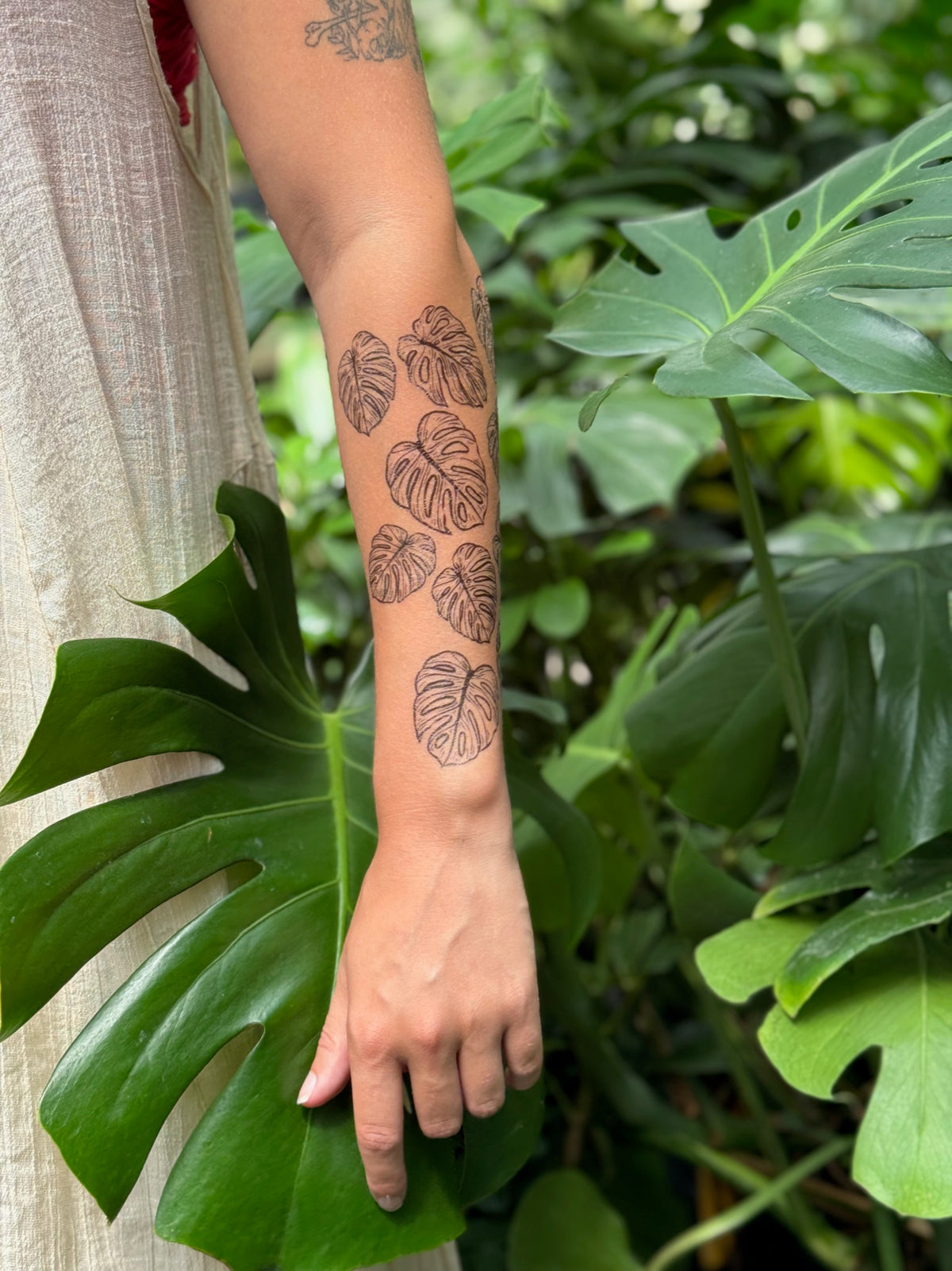 monstera plant tattoo Monstera Leaves Temporary Tattoo