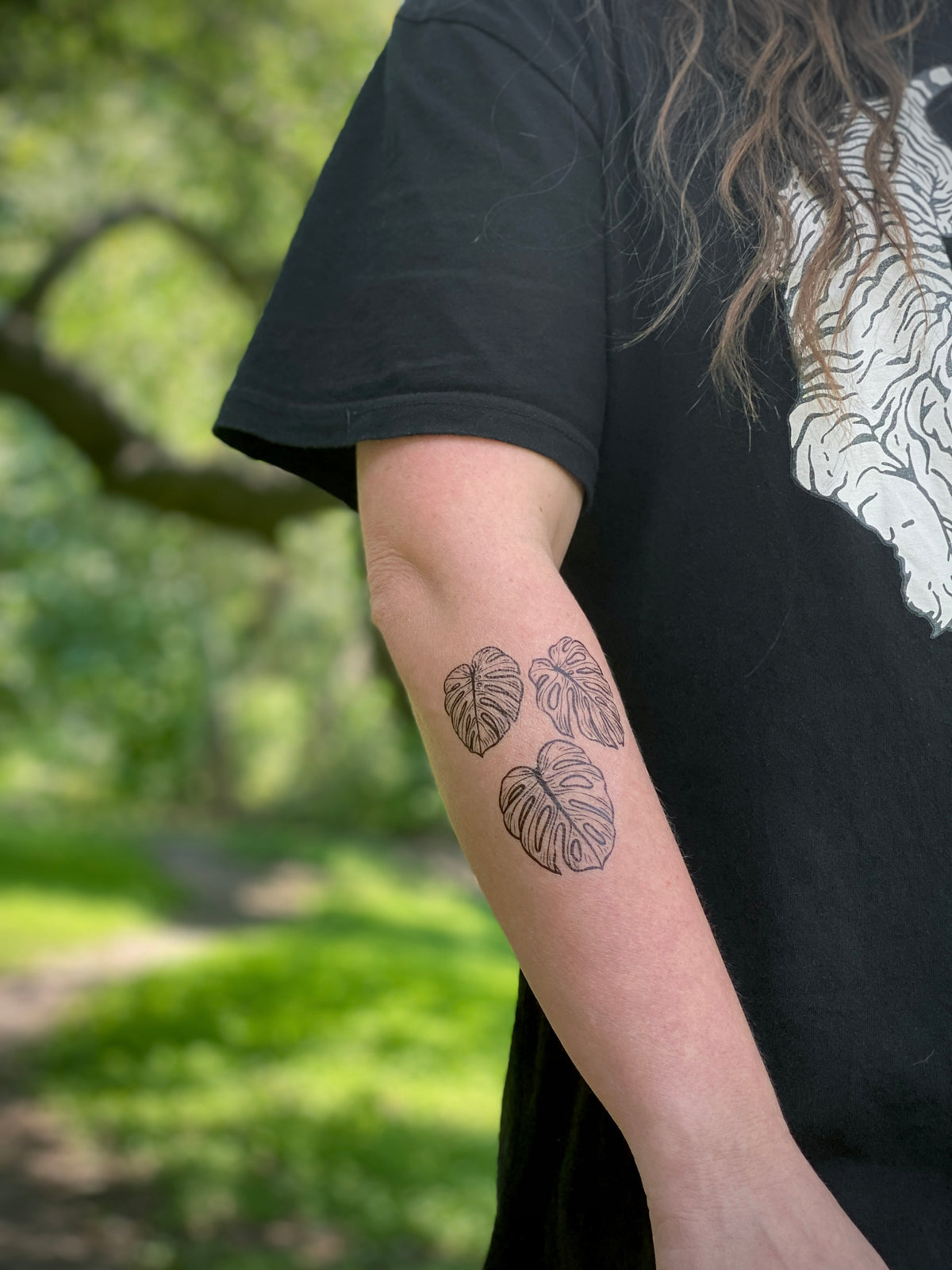 Monstera Leaves Temporary Tattoo – Tropical Houseplant – NatureTats