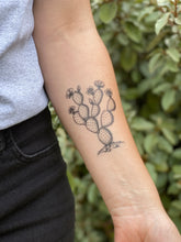 The Desert Lover Collection – 90 Tats with Free Display – Wholesale Bundle