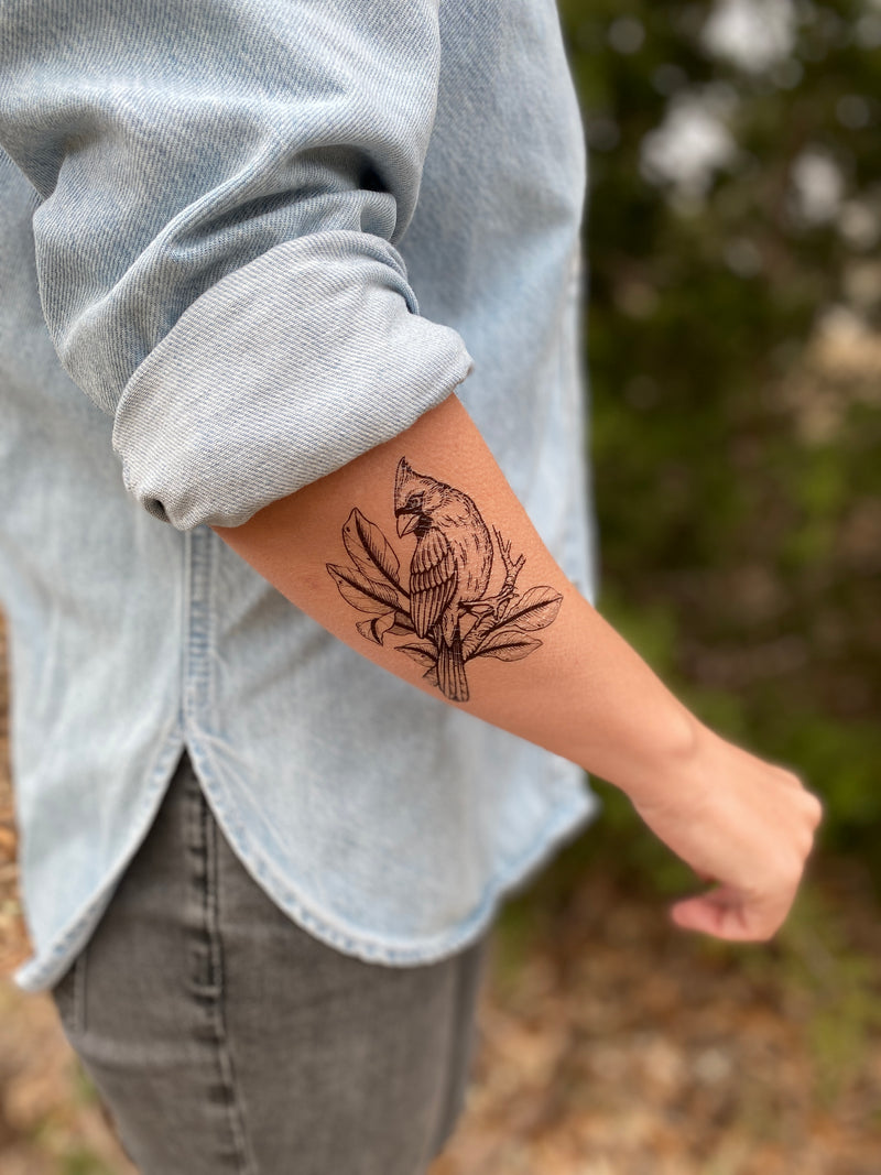 Cardinal Temporary tattoo on arm with a blurred nature background 