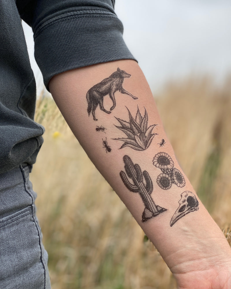 A person's forearm showcasing a variety of temporary tattoos inspired by the American southwest desert, including designs of a coyote, agave plant, saguaro cactus, cactus flower, bird skull, and fire ants.