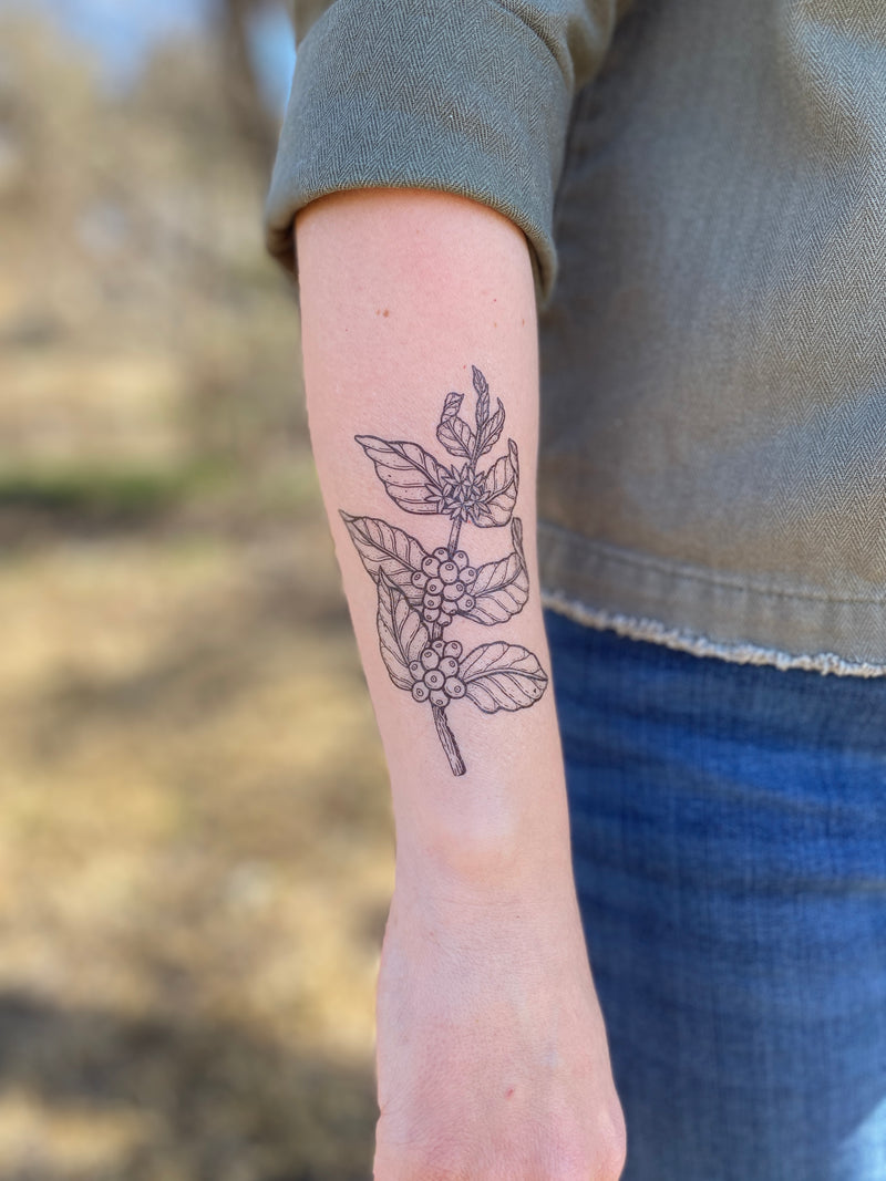 A person's forearm with a temporary tattoo of coffee plant in black ink.