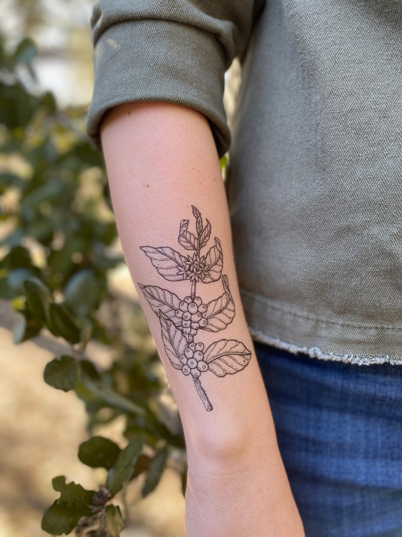 Temporary tattoo on wrist of coffee plant with a nature background 