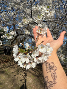 Cherry Flower Temporary Tattoo – Hand-Drawn Minimalist Fruit Tattoo with Floral & Leaves