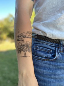 Live Oak Sky Temporary Tattoo