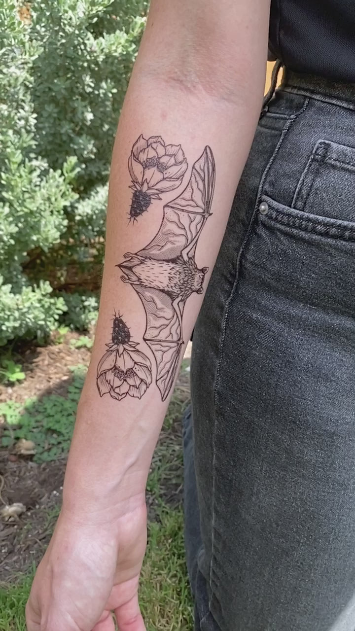 free-tailed bat on persons arm wearing black in a grassy nature background 