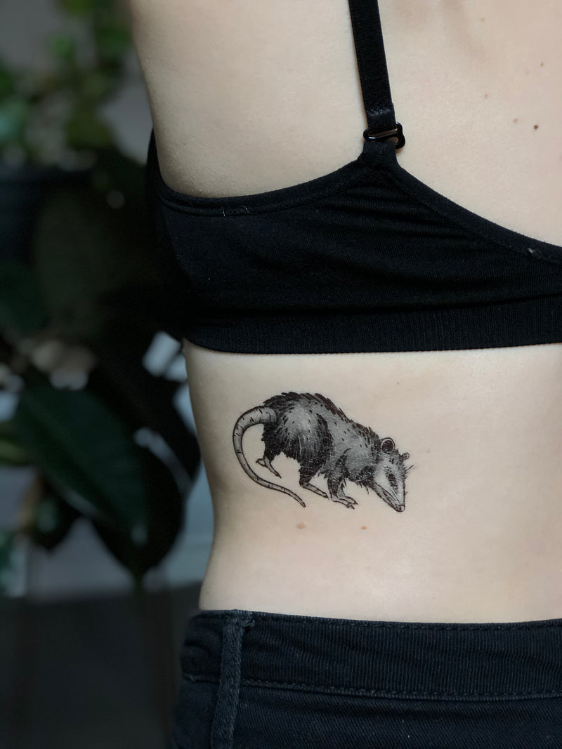 opossum temporary tattoo on persons back wearing black in blurred nature background 