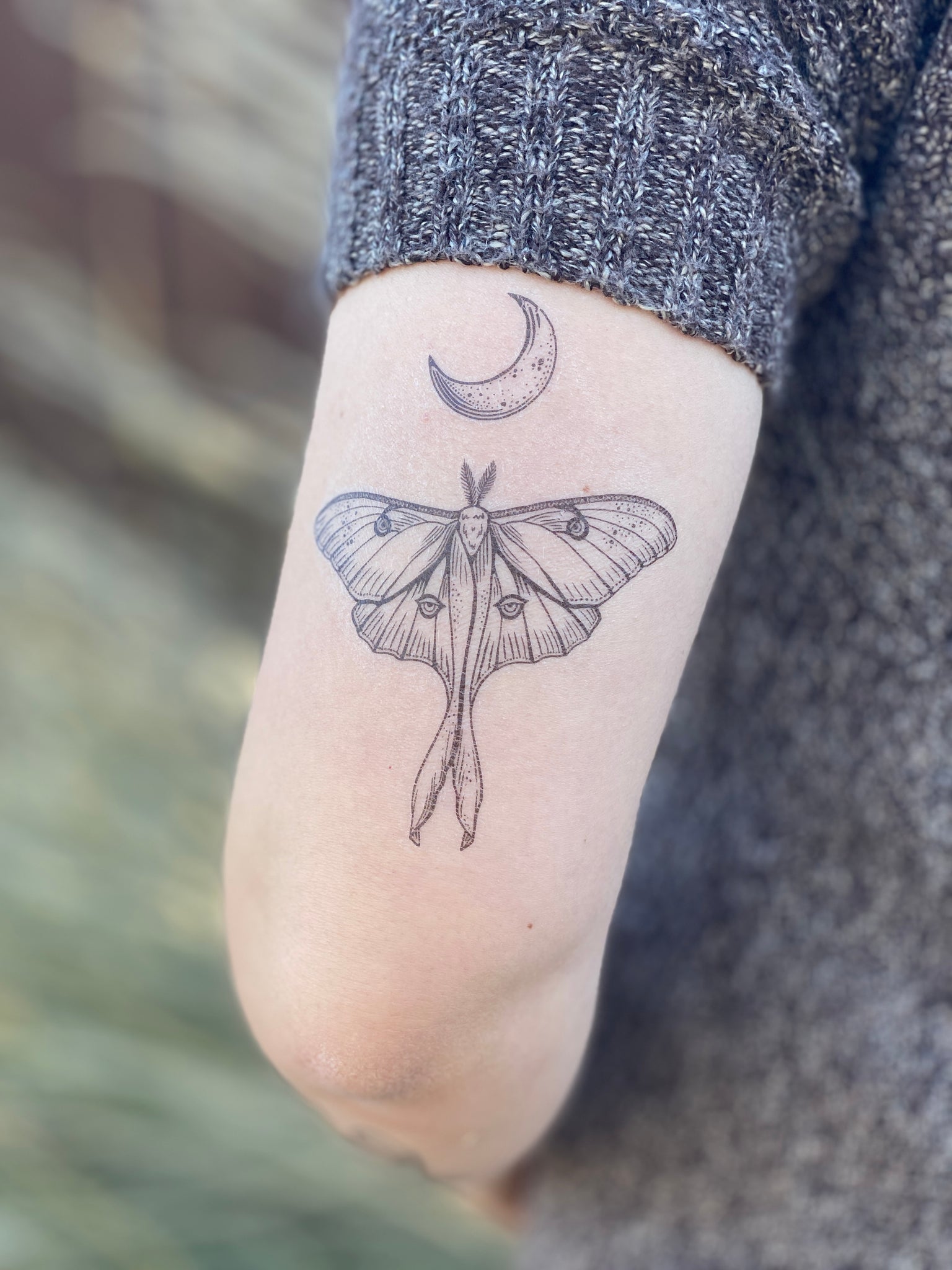Butterfly tattoo designs for ladies | Simple butterfly tattoo | Butterfly  tattoo pictures gallery - YouTube