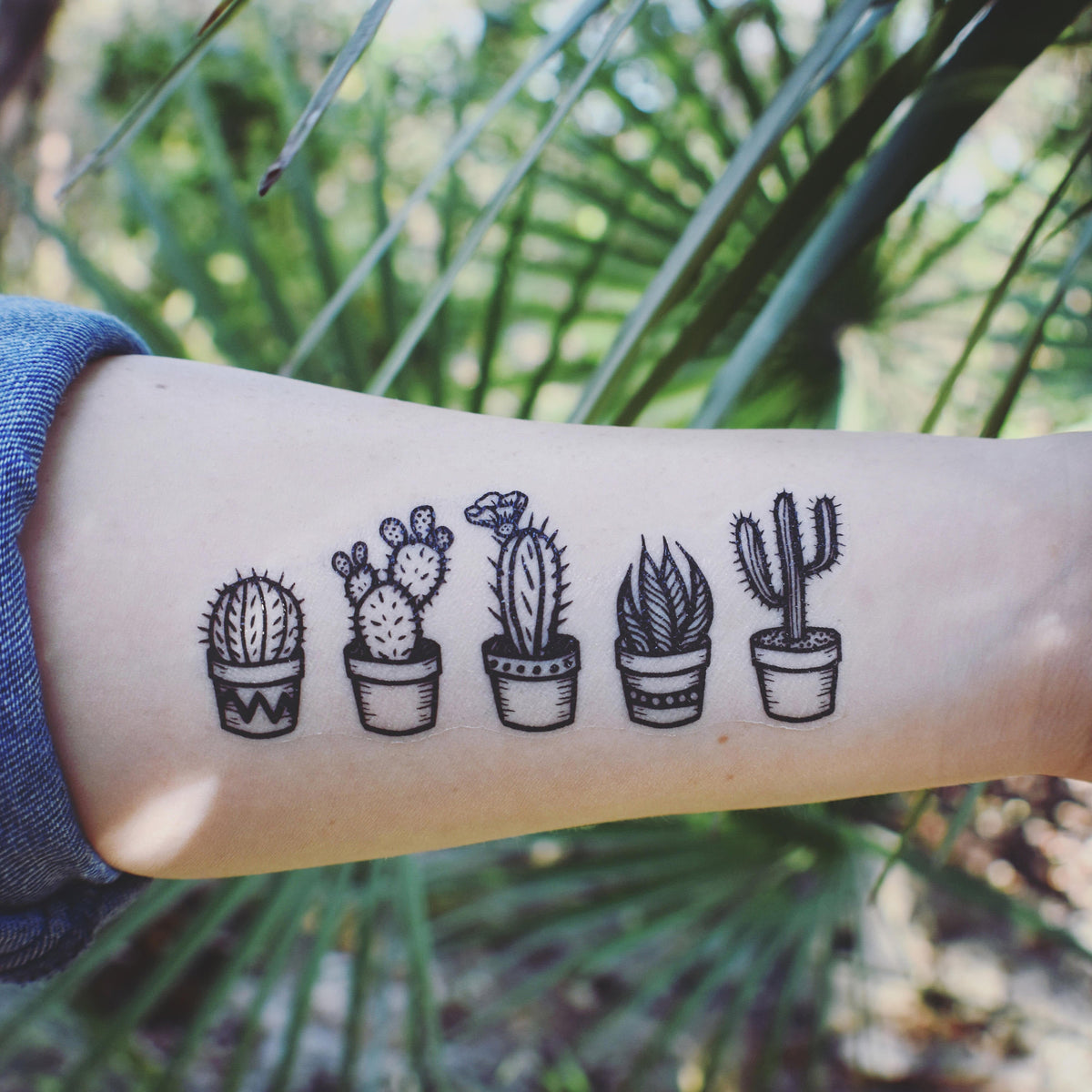 house plants tattoo Potted Cactus Temporary Tattoos