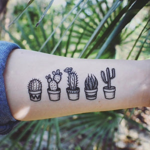 Potted Cactus Temporary Tattoos, Succulent House Plants, Black Line Drawing, Nature Tattoo
