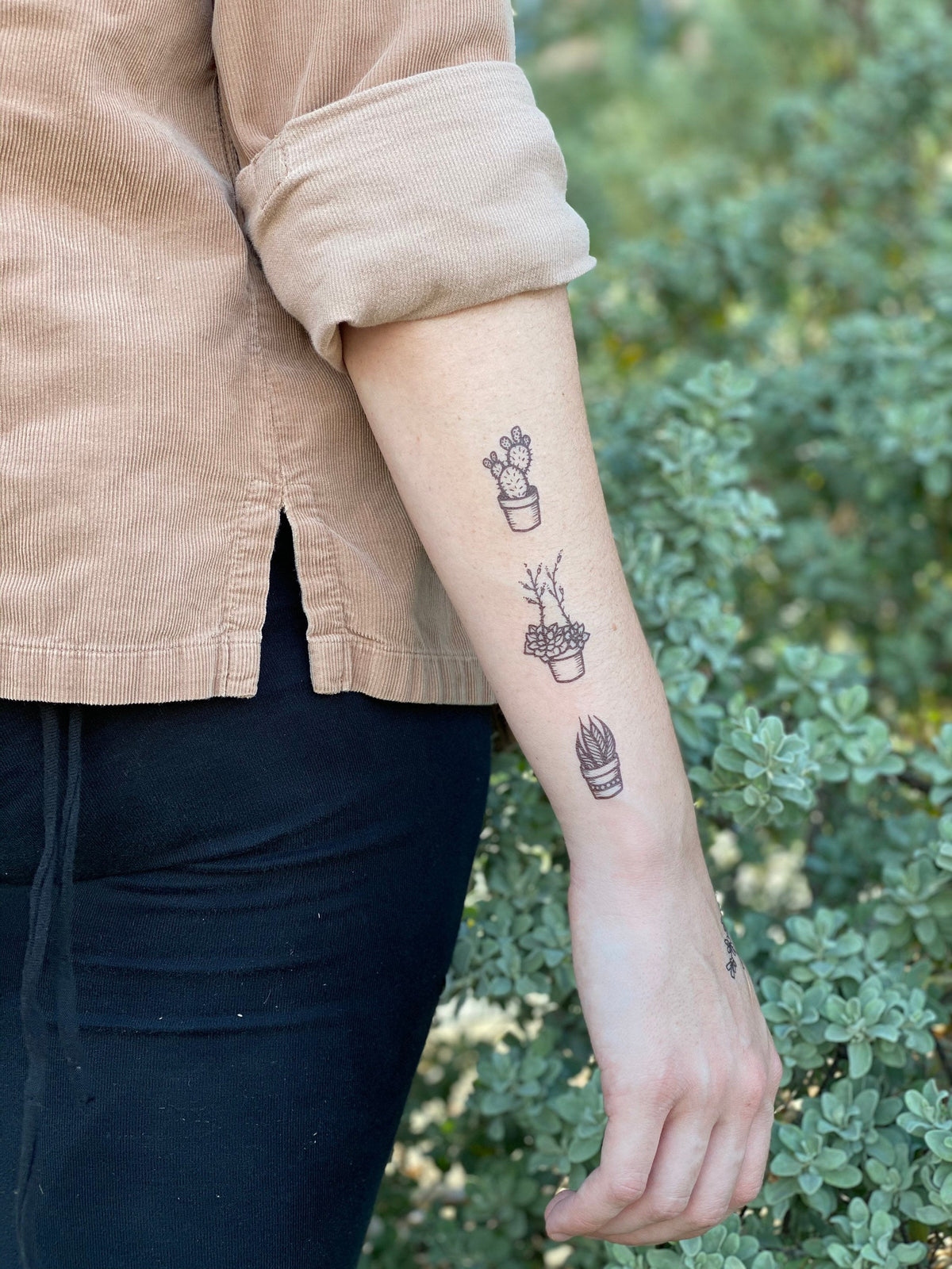 succulent tattoo Potted Cactus Temporary Tattoo – Desert Succulent – NatureTats