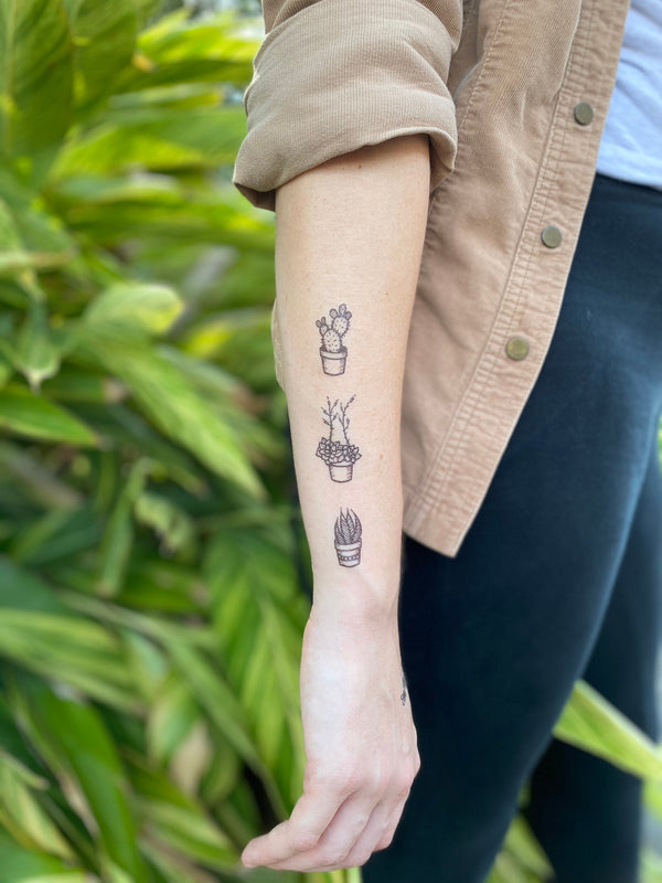 Potted Cactus Temporary Tattoos, Succulent House Plants, Black Line Drawing, Nature Tattoo