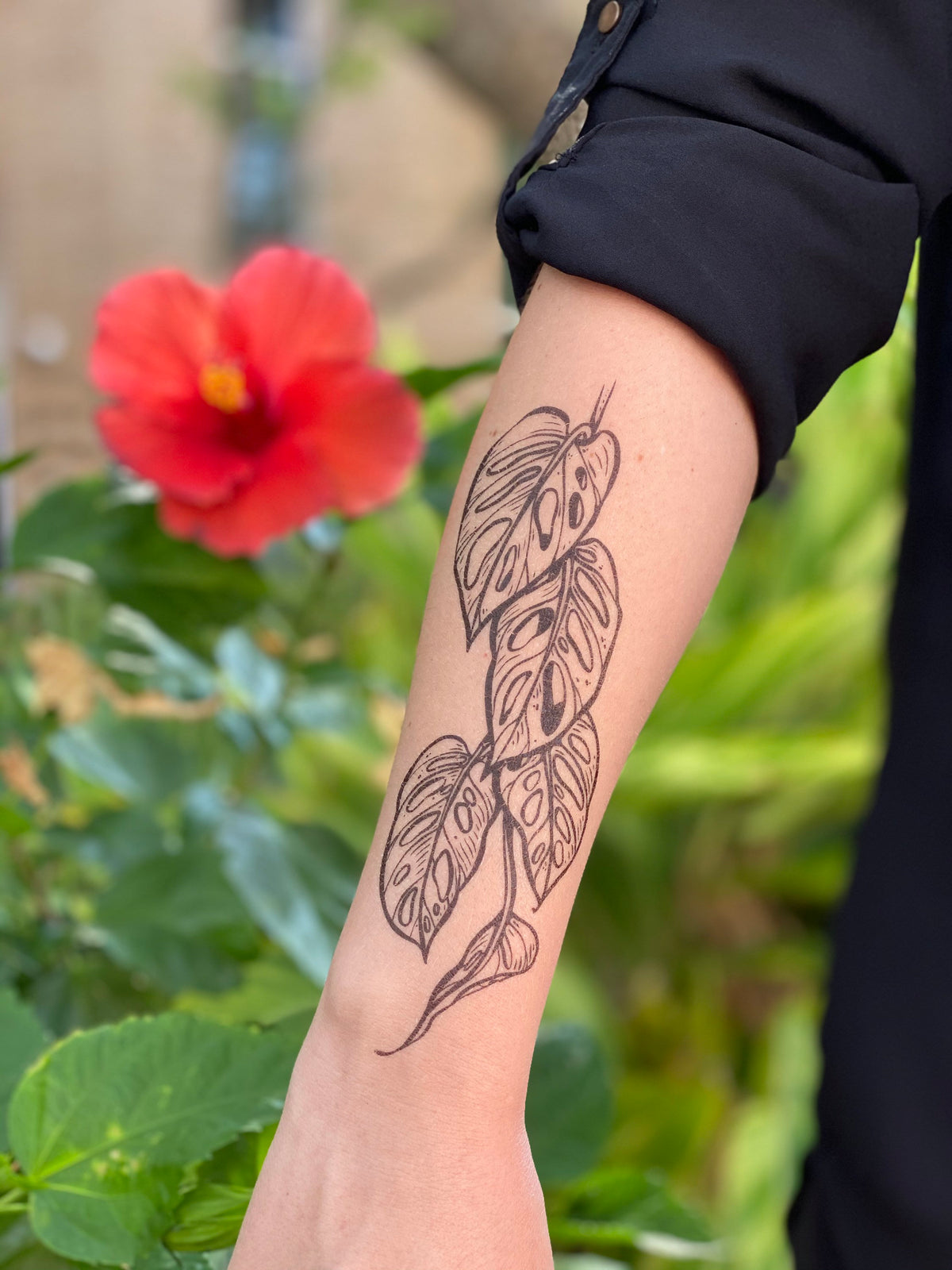 Monstera Vine Temporary Tattoo – Tropical Houseplant – NatureTats
