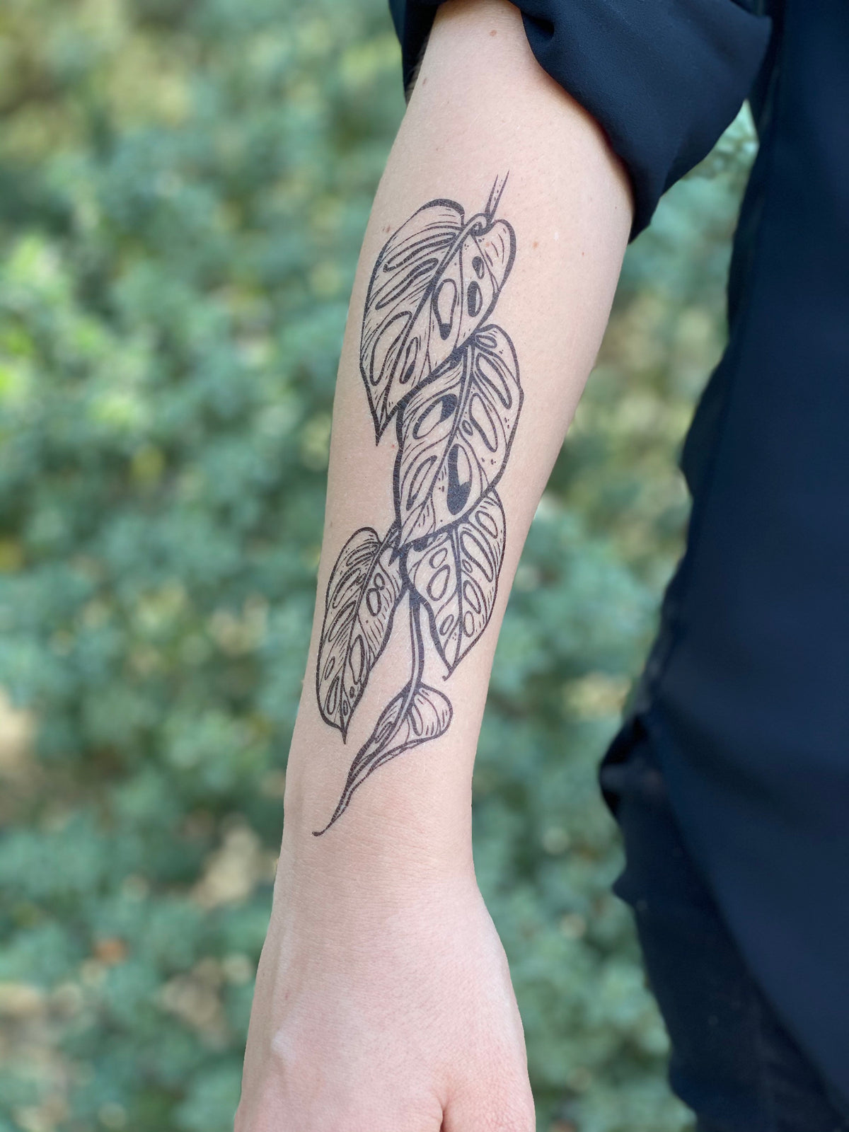 house plant tattoo Monstera Vine Temporary Tattoo – Tropical Houseplant – NatureTats