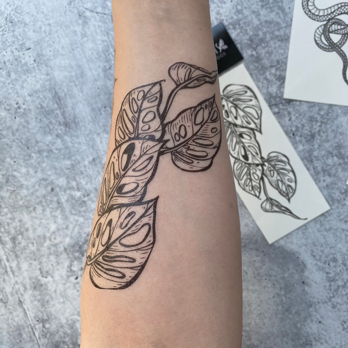 Monstera Vine Temporary Tattoo – Tropical Houseplant – NatureTats