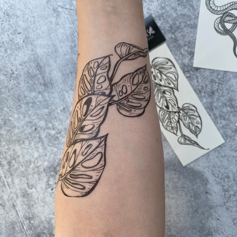 Monstera Vine Temporary Tattoo, Swiss Cheese Vine, Monstera Adansonii, Tropical Leaf, House Plants, Hand-Drawn, Art, Botanical Illustration