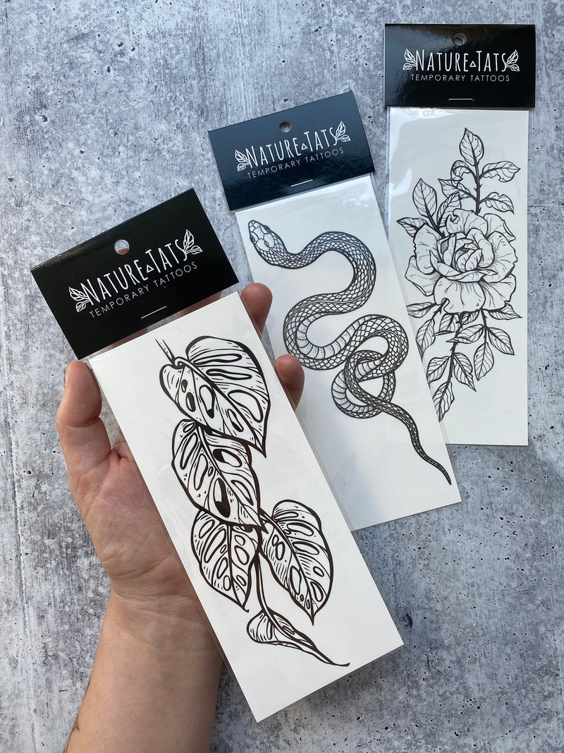 Monstera Vine Temporary Tattoo, Swiss Cheese Vine, Monstera Adansonii, Tropical Leaf, House Plants, Hand-Drawn, Art, Botanical Illustration