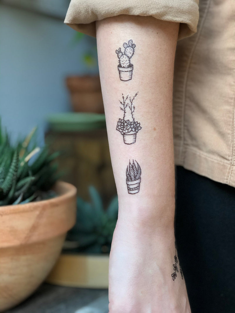 Potted Cactus Temporary Tattoos, Succulent House Plants, Black Line Drawing, Nature Tattoo