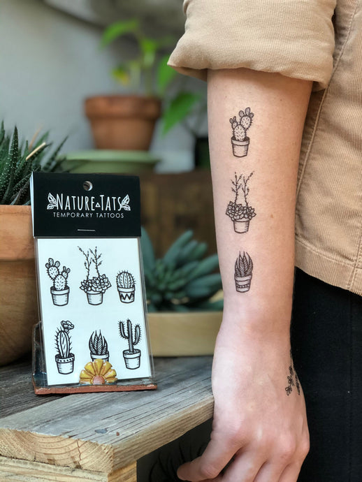 Potted Cactus Temporary Tattoos, Succulent House Plants, Black Line Drawing, Nature Tattoo