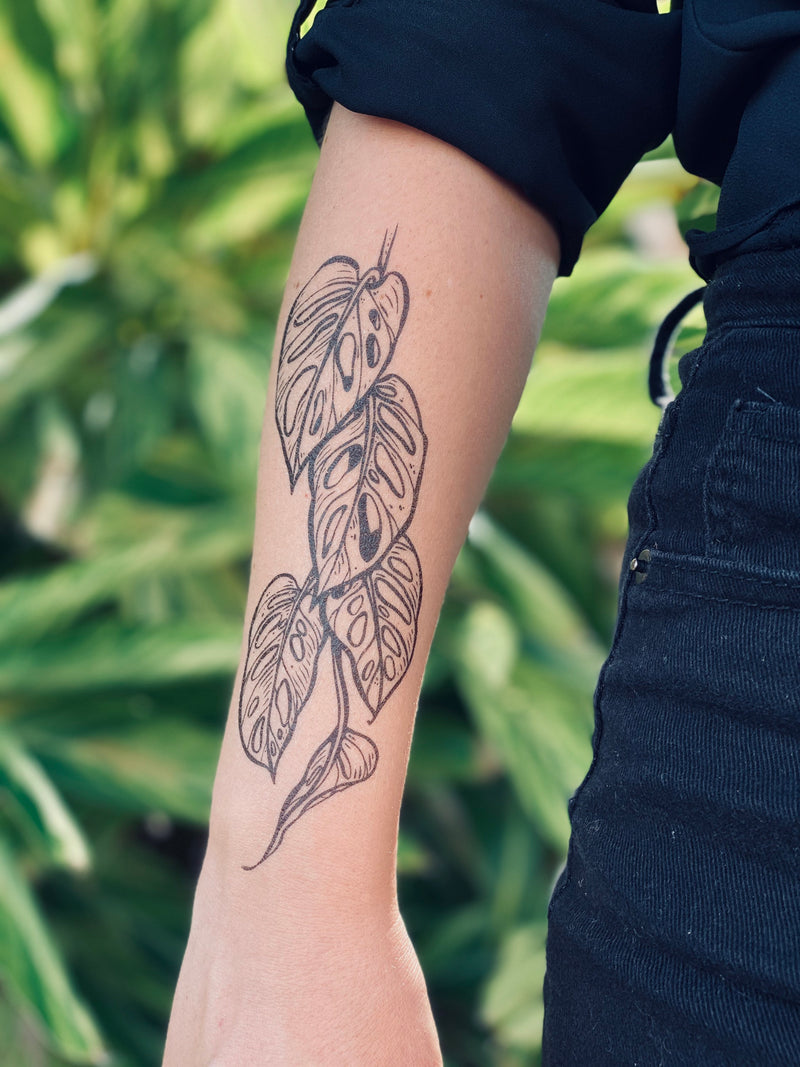 Monstera Vine Temporary Tattoo, Swiss Cheese Vine, Monstera Adansonii, Tropical Leaf, House Plants, Hand-Drawn, Art, Botanical Illustration