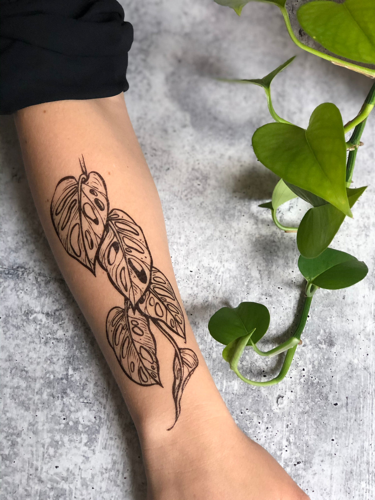Monstera Vine Temporary Tattoo