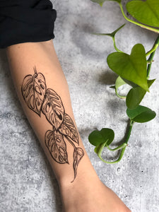 Monstera Vine Temporary Tattoo, Swiss Cheese Vine, Monstera Adansonii, Tropical Leaf, House Plants, Hand-Drawn, Art, Botanical Illustration
