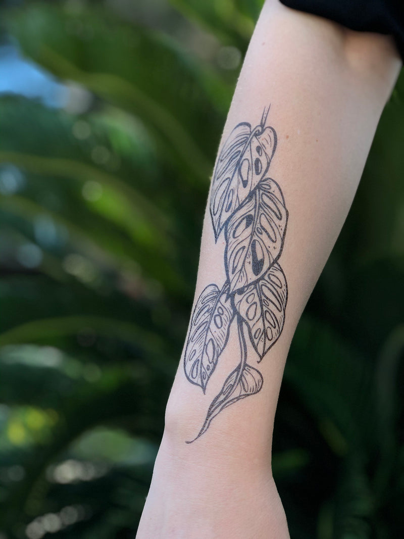 Monstera Vine Temporary Tattoo, Swiss Cheese Vine, Monstera Adansonii, Tropical Leaf, House Plants, Hand-Drawn, Art, Botanical Illustration